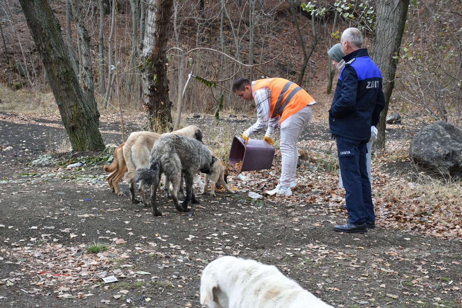 SOKAKâ€™TAKÄ° DOSTLARI, YALNIZ BIRAKMADILAR